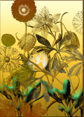 golden-blooms-SOC